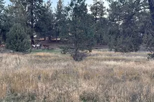 6519 Willet Way, Klamath Falls, OR 97601 - Photo 23
