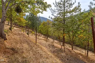 2200 Lupine Dr, Ashland, OR 97520 - Photo 57