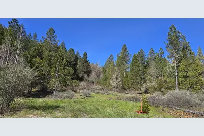 147 Warren Road #1, Selma, OR 97538 - Photo 11