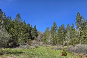 147 Warren Rd, Selma, OR 97538 - Photo 11