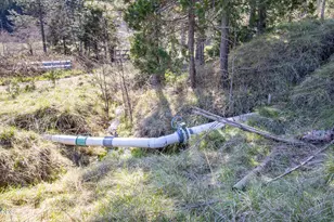 147 Warren Rd, Selma, OR 97538 - Photo 19