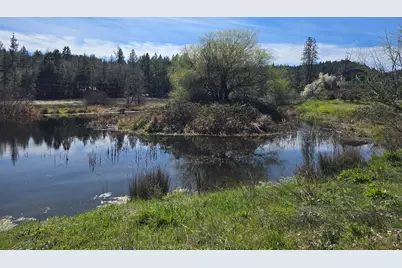 147 Warren Road #1, Selma, OR 97538 - Photo 7