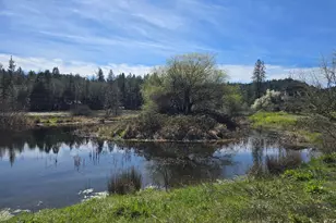147 Warren Rd, Selma, OR 97538 - Photo 7