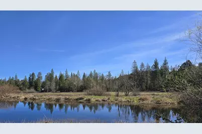 147 Warren Road #1, Selma, OR 97538 - Photo 3