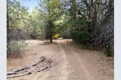 0 Lakeshore Drive TL#1000, Selma, OR 97538 - Photo 7