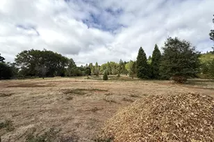 6400 Tunnel Loop Rd, Grants Pass, OR 97526 - Photo 9