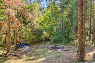 5135 Thompson Creek Rd, Selma, OR 97538 - Photo 51