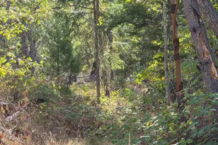 795 Savage Creek Rd, Grants Pass, OR 97527 - Photo 7