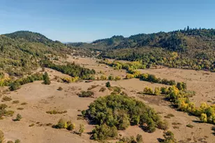 5961 Lookingglass Rd, Roseburg, OR 97471 - Photo 37