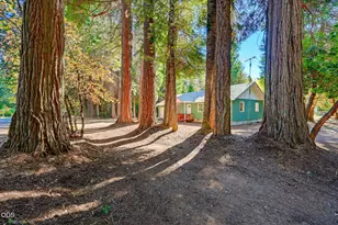 354 Red Blanket Rd, Prospect, OR 97536 - Photo 41