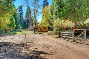 354 Red Blanket Rd, Prospect, OR 97536 - Photo 31