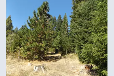 1144 Starveout Creek Road, Azalea, OR 97410 - Photo 11