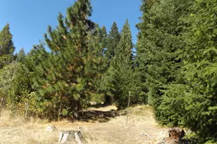 1144 Starveout Creek Rd, Azalea, OR 97410 - Photo 11