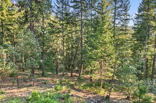 827 Tyler Creek Rd, Ashland, OR 97520 - Photo 39