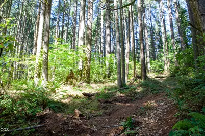 24331 Bolton Hill Road, Veneta, OR 97487 - Photo 43