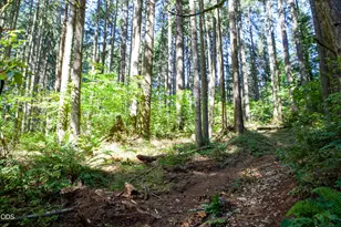 24331 Bolton Hill Rd, Veneta, OR 97487 - Photo 43