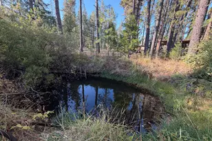 29387 Redwood Hwy, Cave Junction, OR 97523 - Photo 47