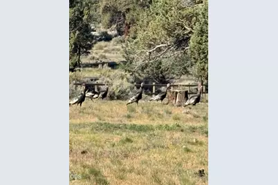 18130 Wanona Road, Sisters, OR 97759 - Photo 69
