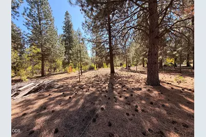 0 Highway 97 #188969, Chiloquin, OR 97624 - Photo 11