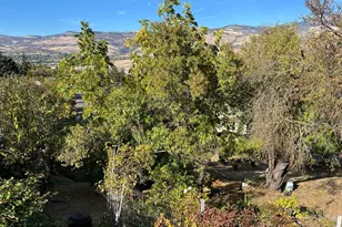285 Wimer St, Ashland, OR 97520 - Photo 7