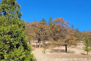 4356 W Griffin Creek Rd, Medford, OR 97501 - Photo 41