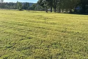 375 Aquarius Way, Cave Junction, OR 97523 - Photo 31