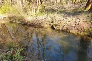 0 Redwood Hwy, O'Brien, OR 97534 - Photo 1