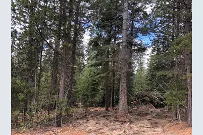 31 Clear Spring Way, Crescent Lake, OR 97733 - Photo 1