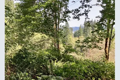 Fern Hill Road, Rainier, OR 97048 - Photo 1