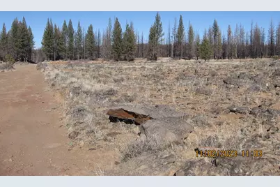 Lot 16N Shasta Fir Way, Bly, OR 97622 - Photo 1