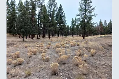 0 Arrowhead Lane #Lot 20, Chiloquin, OR 97624 - Photo 1