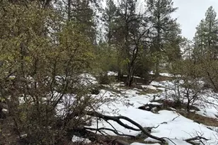 Sparrow Hawk Dr, Bonanza, OR 97623 - Photo 1