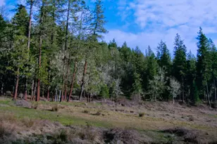 0 Cobleigh Rd, Butte Falls, OR 97522 - Photo 1