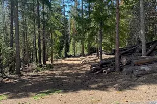 Lot 9 Diamond Peaks Dr, Crescent Lake, OR 97733 - Photo 1