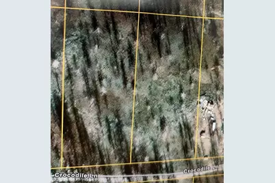 Lot 1200 Crocodile Lane #Lot 1200, Bonanza, OR 97623 - Photo 1