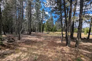 Tl 9400 Scott View Dr, Chiloquin, OR 97624 - Photo 1