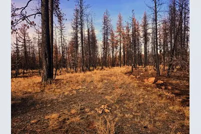 4 Zebra Lane #4, Bonanza, OR 97623 - Photo 1