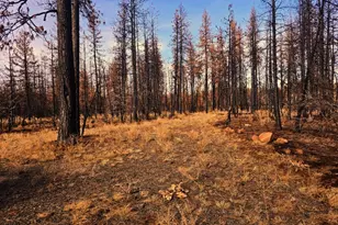 4 Zebra Ln, Bonanza, OR 97623 - Photo 1