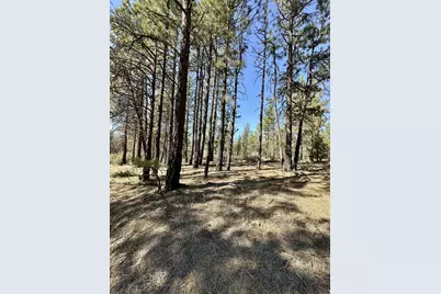 Wampum Lane #Lot 27, Chiloquin, OR 97624 - Photo 1