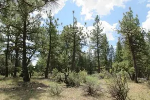 0 Elde St, Chiloquin, OR 97624 - Photo 1