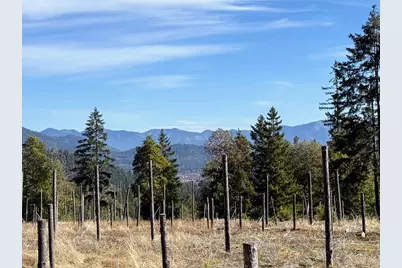 Cedar Flat Road, Cave Junction, OR 97523 - Photo 1