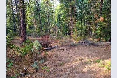 Yak Lane, Bonanza, OR 97623 - Photo 1