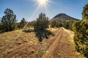 1755 Lost Coyote, Mitchell, OR 97750 - Photo 1