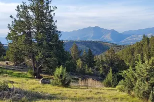 Wiley Creek Road Rd, Dayville, OR 97825 - Photo 1