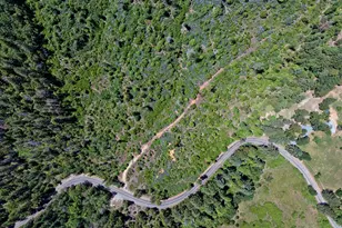 0 Lower Wolf Creek Rd, Wolf Creek, OR 97497 - Photo 1
