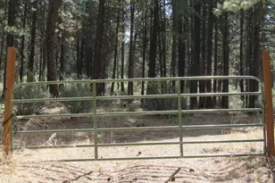 0 Pine Ridge Rd, Chiloquin, OR 97624 - Photo 1