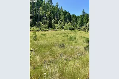 00 Redwood Highway, O'Brien, OR 97534 - Photo 1