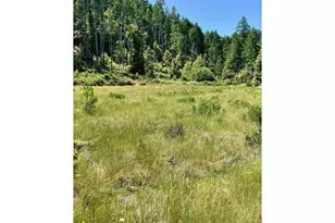 00 Redwood Hwy, O'Brien, OR 97534 - Photo 1