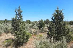 SE Snake Rd, Prineville, OR 97754 - Photo 1