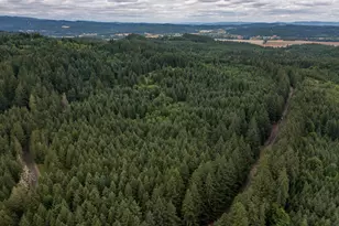 0 McTimmonds Rd, Dallas, OR 97338 - Photo 1